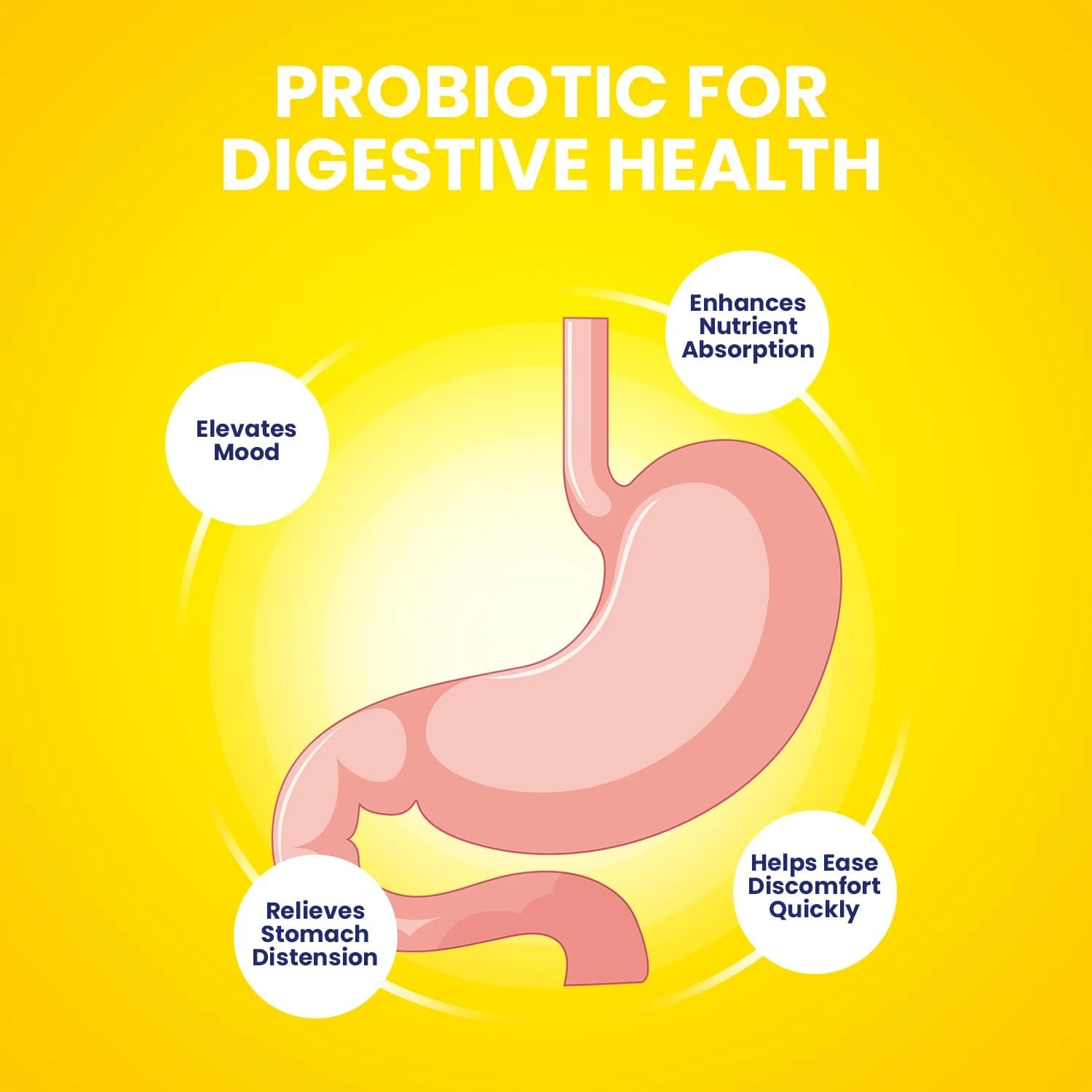 VivoGut Natural Ingredients